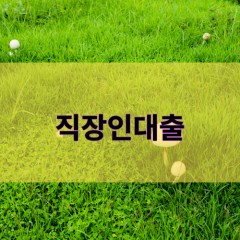 직장인대부대출 - 4대보험가입자 높은 한도 월변, 일수 당일 가능한 대부대출