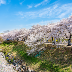 울산 대부대출 울산 주부여성대출 울산 일수대출 울산 급한돈 빌릴때