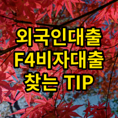 외국인대출 F4비자대출 중국인대출 찾을때 TIP