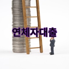 연체자대출 연체중이여도 가능한 소액대출 진행 연체자대출