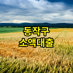 동작구 소액대출 동작구 월변 동작구 비대면 급전 개인돈 일수 주변