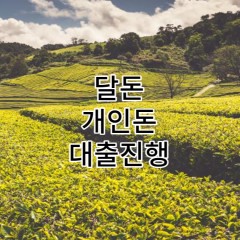 달돈 개인돈 대출 진행은 대출하니에서