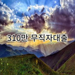 310만원무직자대출 급전 당일 소액 일수 월변