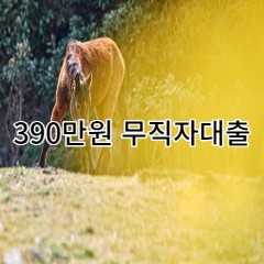 390만원무직자대출 급전 당일 소액 일수 월변