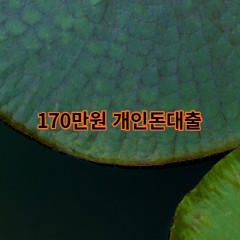 170만원개인돈대출 급전 당일 소액 일수 월변