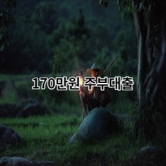 170만원주부대출 급전 당일 소액 일수 월변