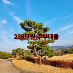 230만원주부대출 급전 당일 소액 일수 월변