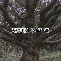 270만원주부대출 급전 당일 소액 일수 월변