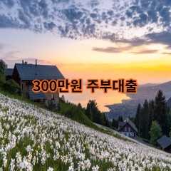 300만원주부대출 급전 당일 소액 일수 월변