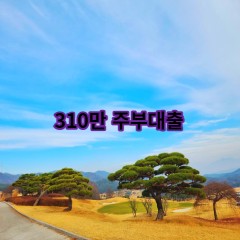 310만원주부대출 급전 당일 소액 일수 월변