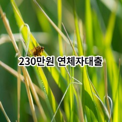 230만원 연체자대출 급전 당일 소액 일수 월변