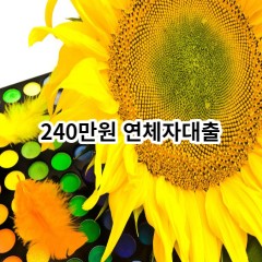 240만원 연체자대출 급전 당일 소액 일수 월변