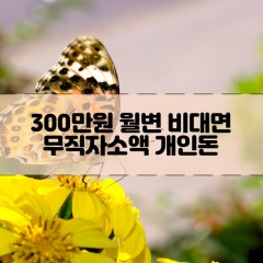 무직자 300만원소액대출 300만원개인돈대출 300만원월변대출 300만원비대면대출 무직자