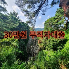 30만원무직자대출 급전 당일 소액 일수 월변