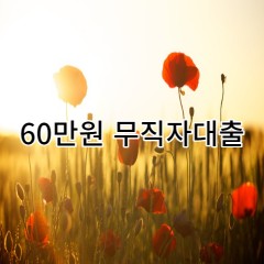 60만원무직자대출 급전 당일 소액 일수 월변