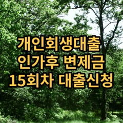 개인회생대출 인가후15회차 개인회생대출 변제금15회차 개인회생중대출 미납금15회차 대출가능한곳