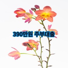 390만원주부대출 급전 당일 소액 일수 월변