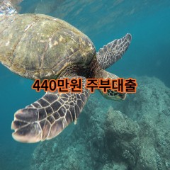 440만원주부대출 급전 당일 소액 일수 월변