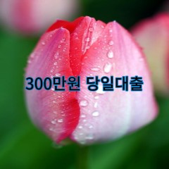 300만원대출 급전 당일 소액 일수 월변