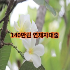 140만원 연체자대출 급전 당일 소액 일수 월변