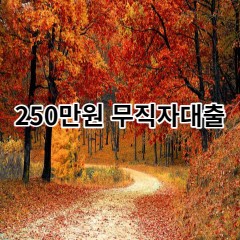 250만원대출 급전 당일 소액 일수 월변