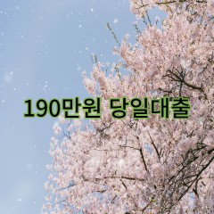 190만원대출 급전 당일 소액 일수 월변