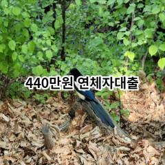 440만원 연체자대출 급전 당일 소액 일수 월변