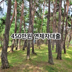 450만원 연체자대출 급전 당일 소액 일수 월변