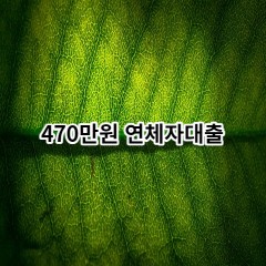 470만원 연체자대출 급전 당일 소액 일수 월변