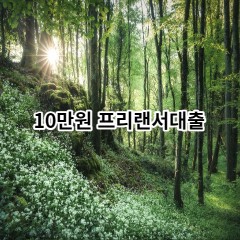 10만원 프리랜서대출 급전 당일 소액 일수 월변