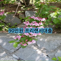 90만원 프리랜서대출 급전 당일 소액 일수 월변