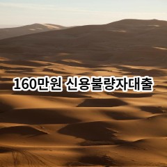 160만원 신용불량자대출 급전 당일 소액 일수 월변