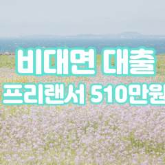 프리랜서 월변510만원대출 소액510만원대출 개인돈510만원 비대면510만원