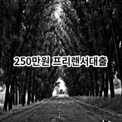 250만원 프리랜서대출 급전 당일 소액 일수 월변