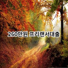 260만원 프리랜서대출 급전 당일 소액 일수 월변