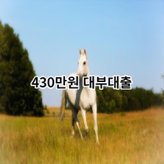 430만원 대부대출 급전 당일 소액 일수 월변