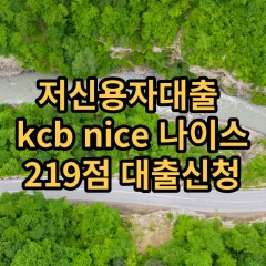 저신용자대출 kcb219점 저신용소액대출 nice219점 저신용비대면대출 나이스219점 신용대출가능한곳