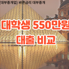 대학생 월변550만원대출 소액550만원대출 개인돈550만원 비대면550만원