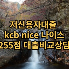 저신용자대출 kcb255점 저신용소액대출 nice255점 저신용비대면대출 나이스255점 신용대출가능한곳