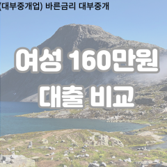 여성 월변160만원대출 소액160만원대출 개인돈160만원 비대면160만원