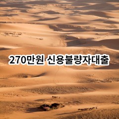 270만원 신용불량자대출 급전 당일 소액 일수 월변