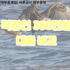 직장인 월변360만원대출 소액360만원대출 개인돈360만원 비대면360만원