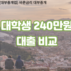 대학생 월변240만원대출 소액240만원대출 개인돈240만원 비대면240만원