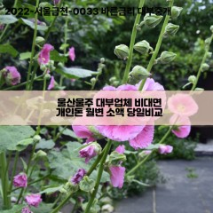 울산울주대부업체 울산울주비대면대부업체 대부업체개인돈 울산울주월변대부업체 울산울주소액대부업체