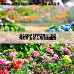 울산중구대부업체 울산중구비대면대부업체 대부업체개인돈 울산중구월변대부업체 울산중구소액대부업체