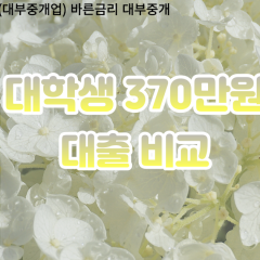 대학생 월변370만원대출 소액370만원대출 개인돈370만원 비대면370만원