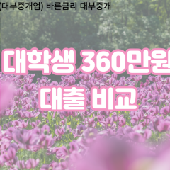 대학생 월변360만원대출 소액360만원대출 개인돈360만원 비대면360만원