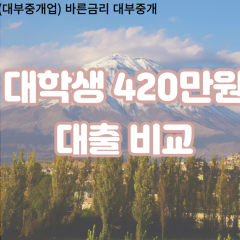 대학생 월변420만원대출 소액420만원대출 개인돈420만원 비대면420만원