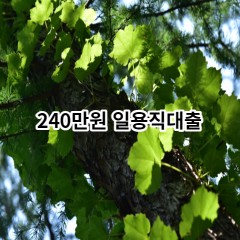 240만원 일용직대출 급전 당일 소액 일수 월변