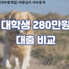 대학생 월변280만원대출 소액280만원대출 개인돈280만원 비대면280만원